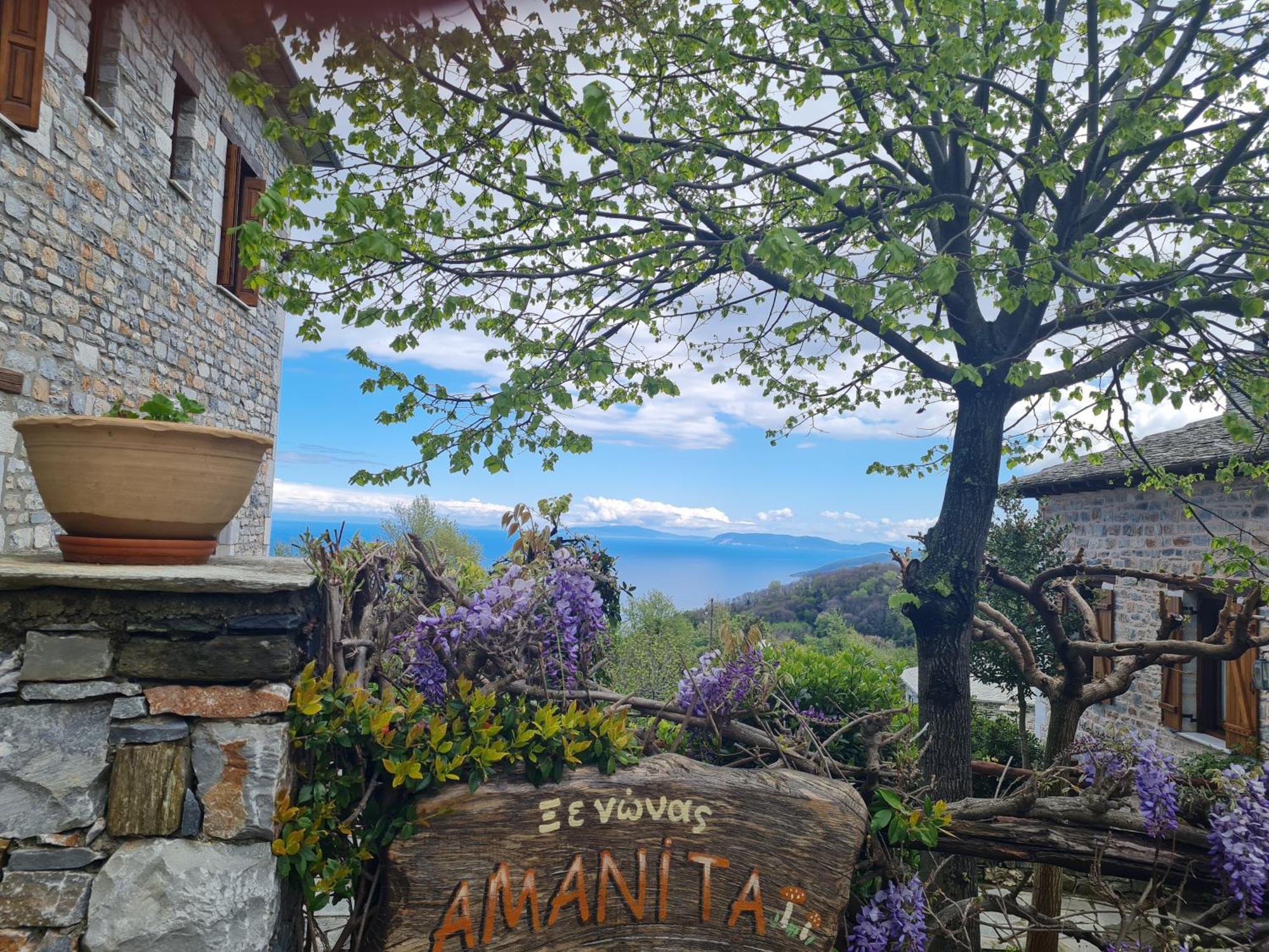 Amanita Boutique Hotel Tsagarada Exterior foto